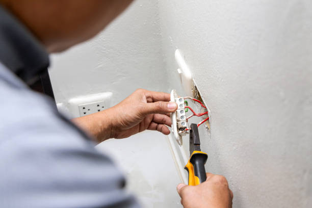Best Licensed Electrician  in Dodge Center, MN